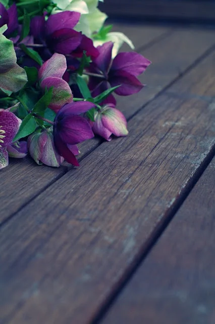 The Vegetarian Feast !