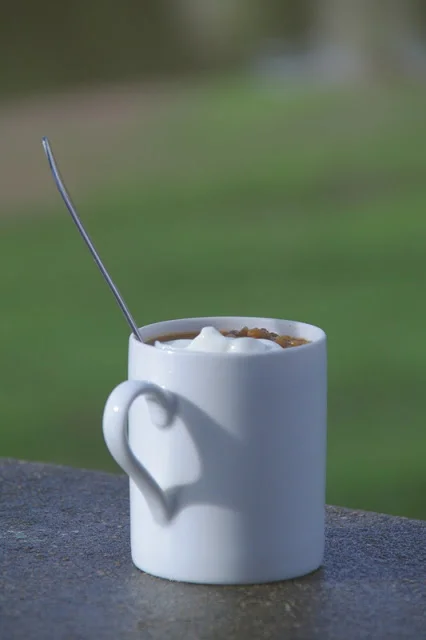 Lunch with the ducks . . .