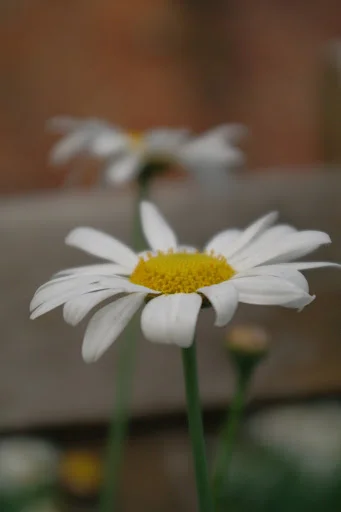 Hobart with a Cherry on Top - Part 3