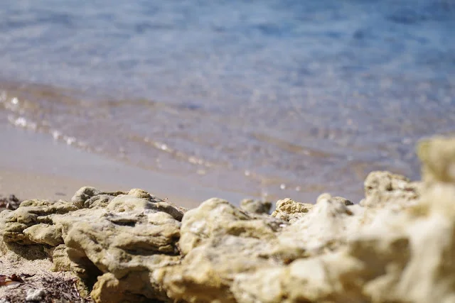 From the beach to the country......