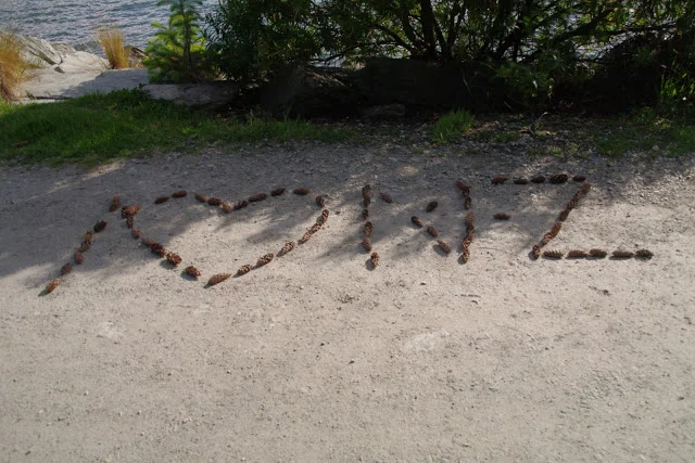 The Last Stop (New Zealand Part IV)