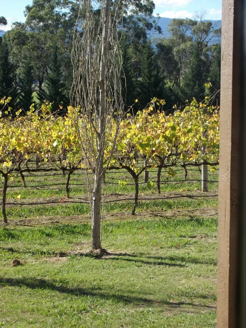 What a wonderful day....