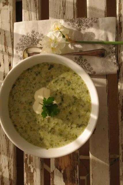 Teddy's Lettuce Soup