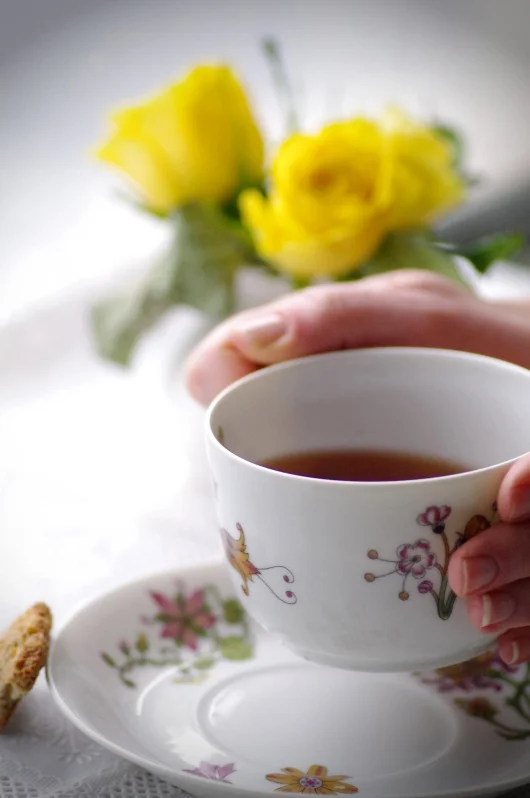 3 ANZAC Biscuit Alternatives . .