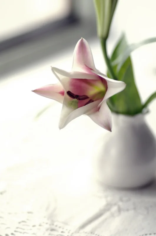3 recipes to spoil mum . .