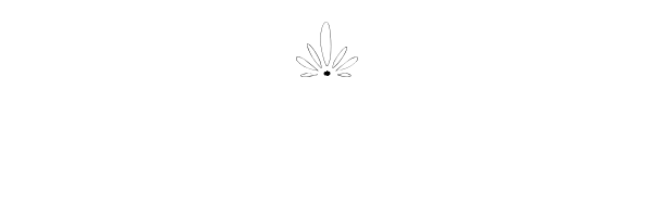 blog.png