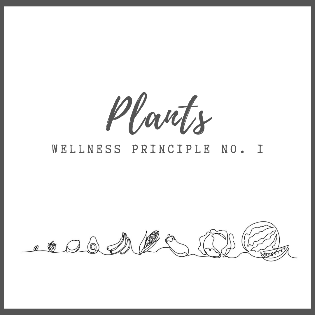WELLNESS PRINCIPLE 1 : Plants