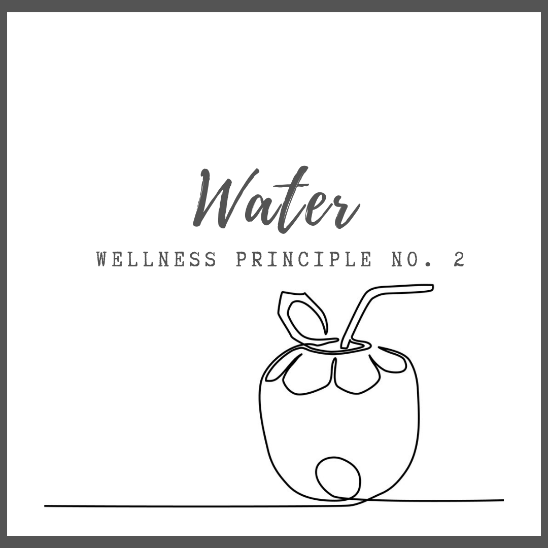 WELLNESS PRINCIPLE 2 : Water