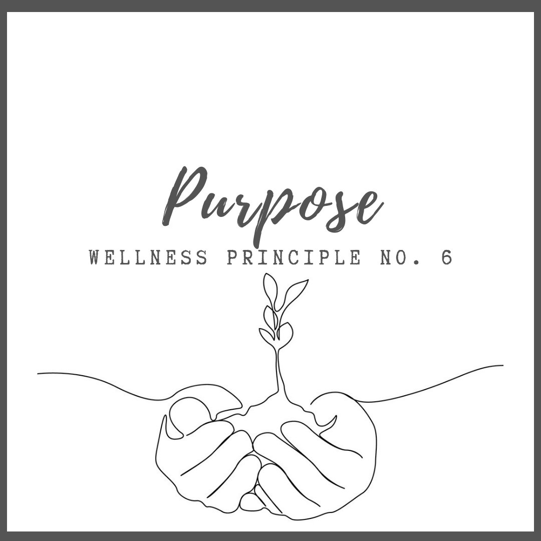 WELLNESS PRINCIPLE 6 :  Purpose