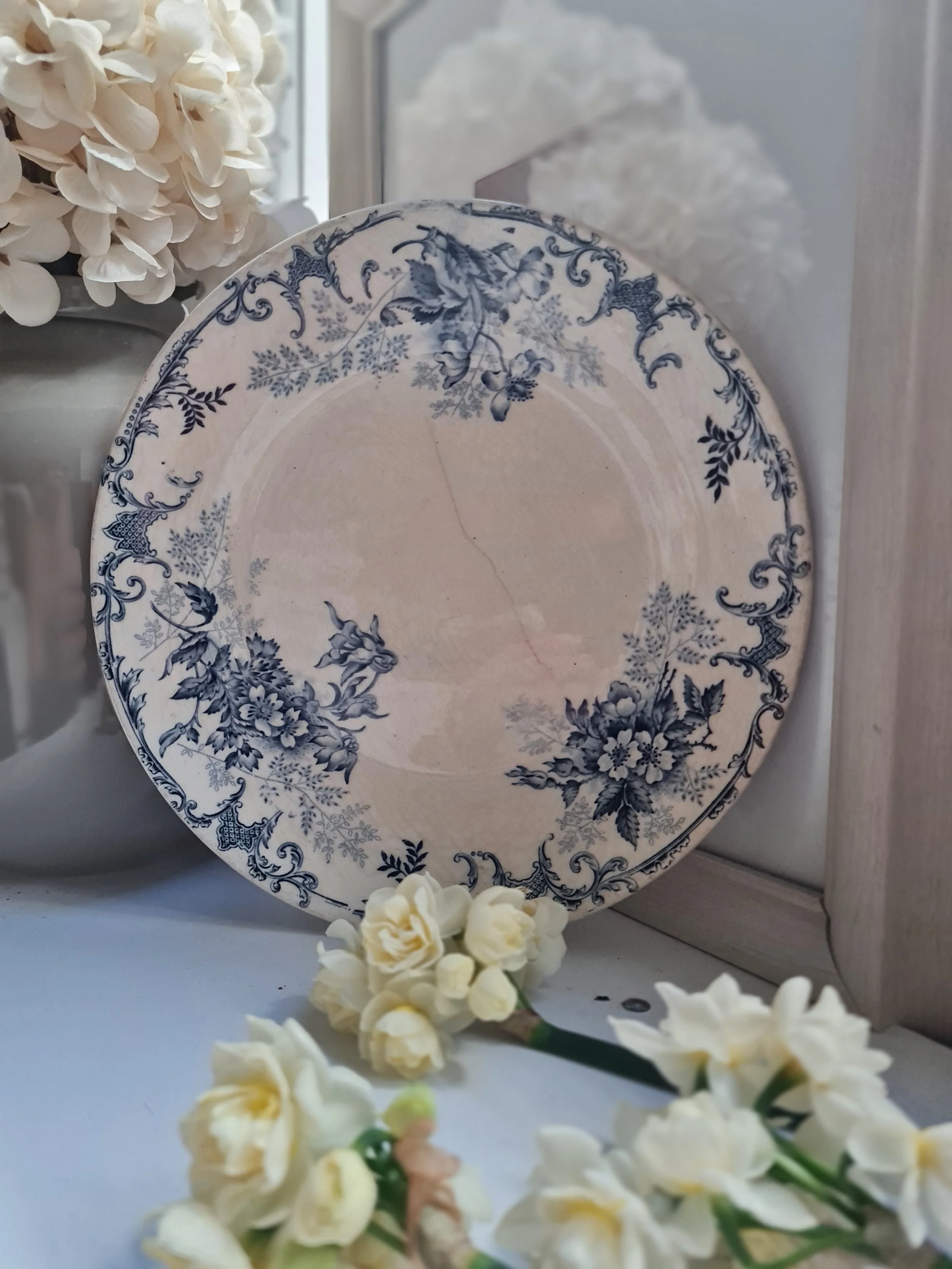 Blue & White Plate