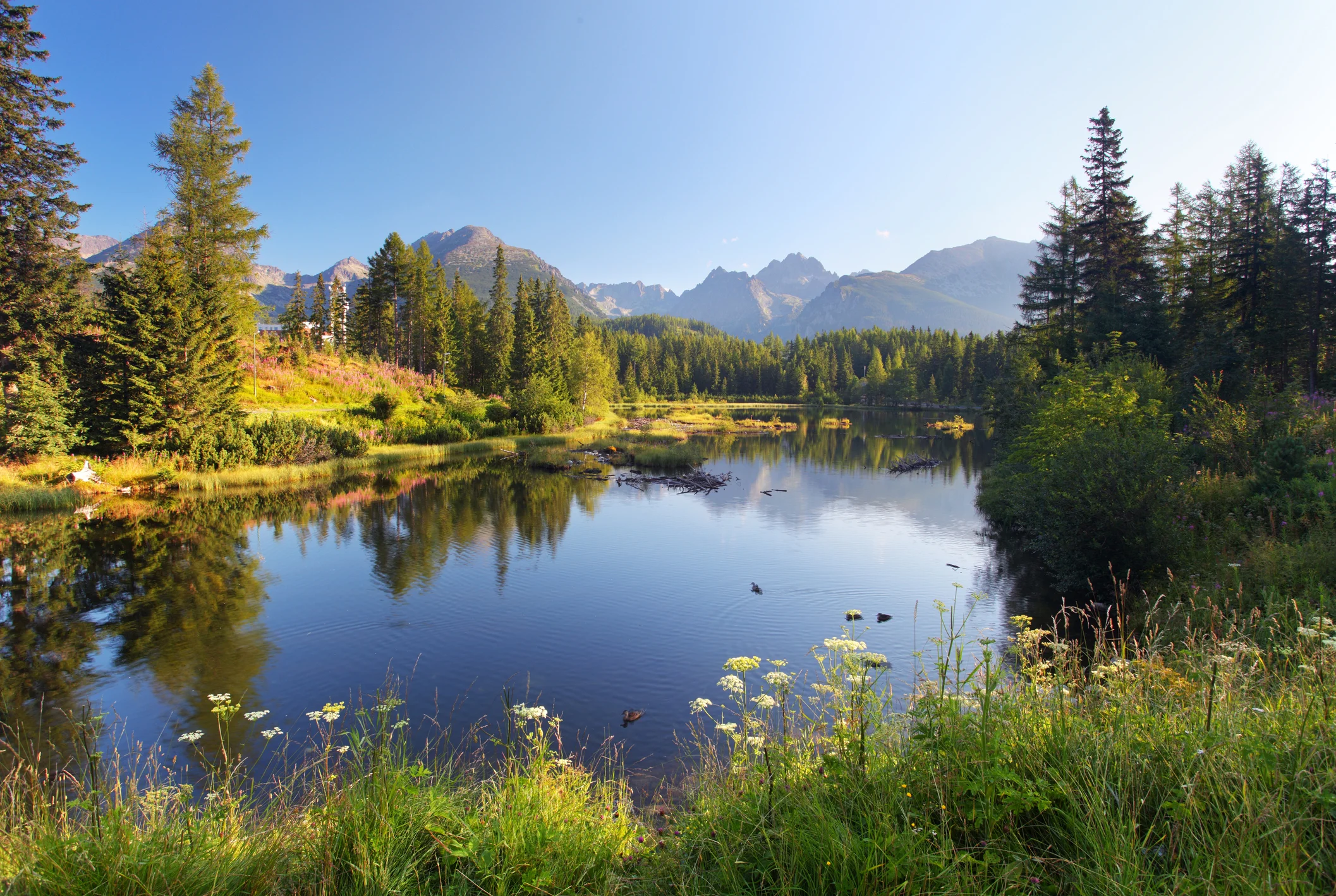 Photo by TomasSereda/iStock / Getty Images