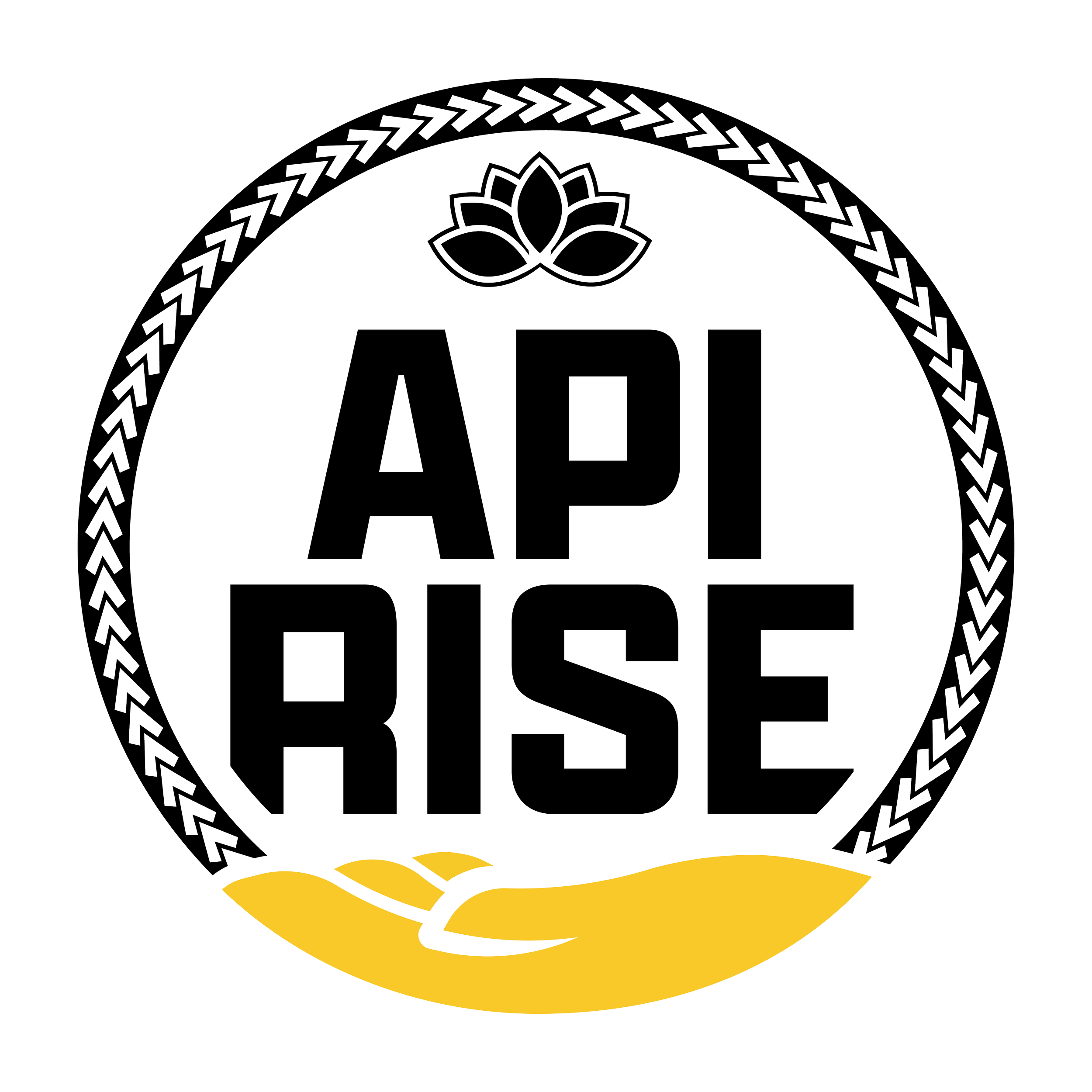 API RISE