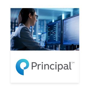 Principal Case Study