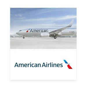 American Airlines Case Study