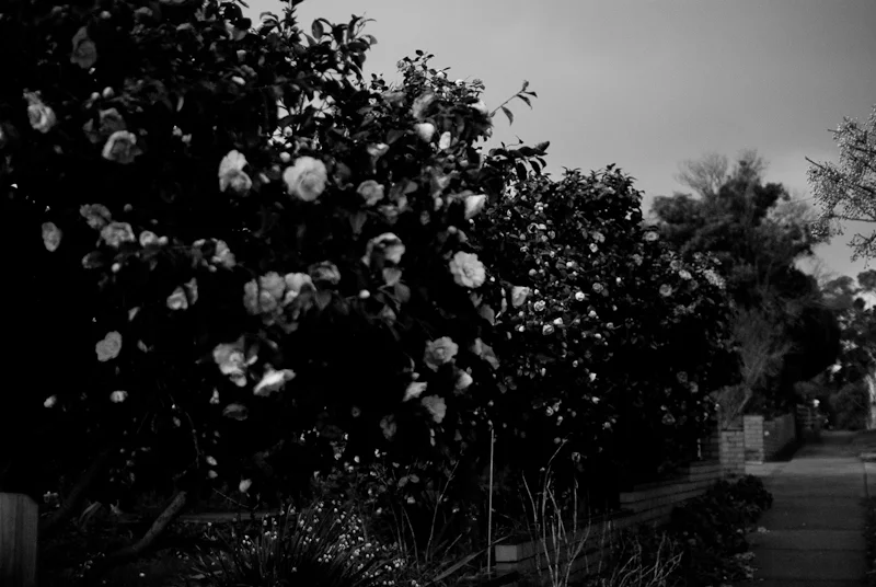 tumblr_nibm0cjsu41u2b9emo1_1280.jpg