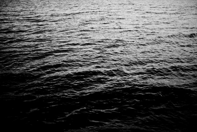 tumblr_nibm5fdabH1u2b9emo1_1280.jpg