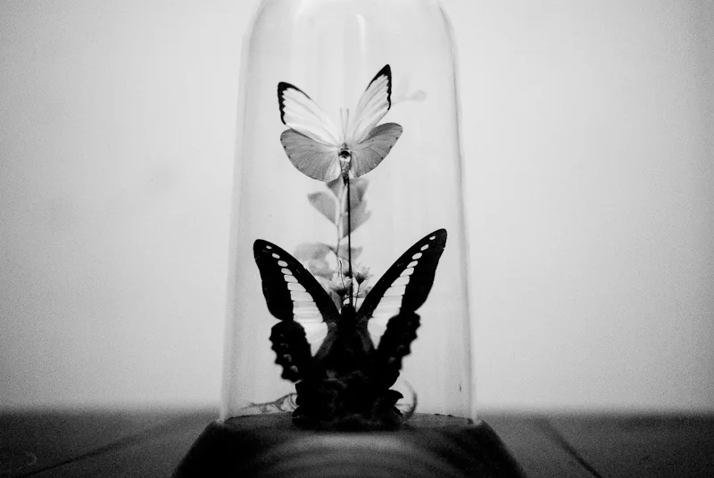 tumblr_nibm85nMx41u2b9emo1_1280.jpg