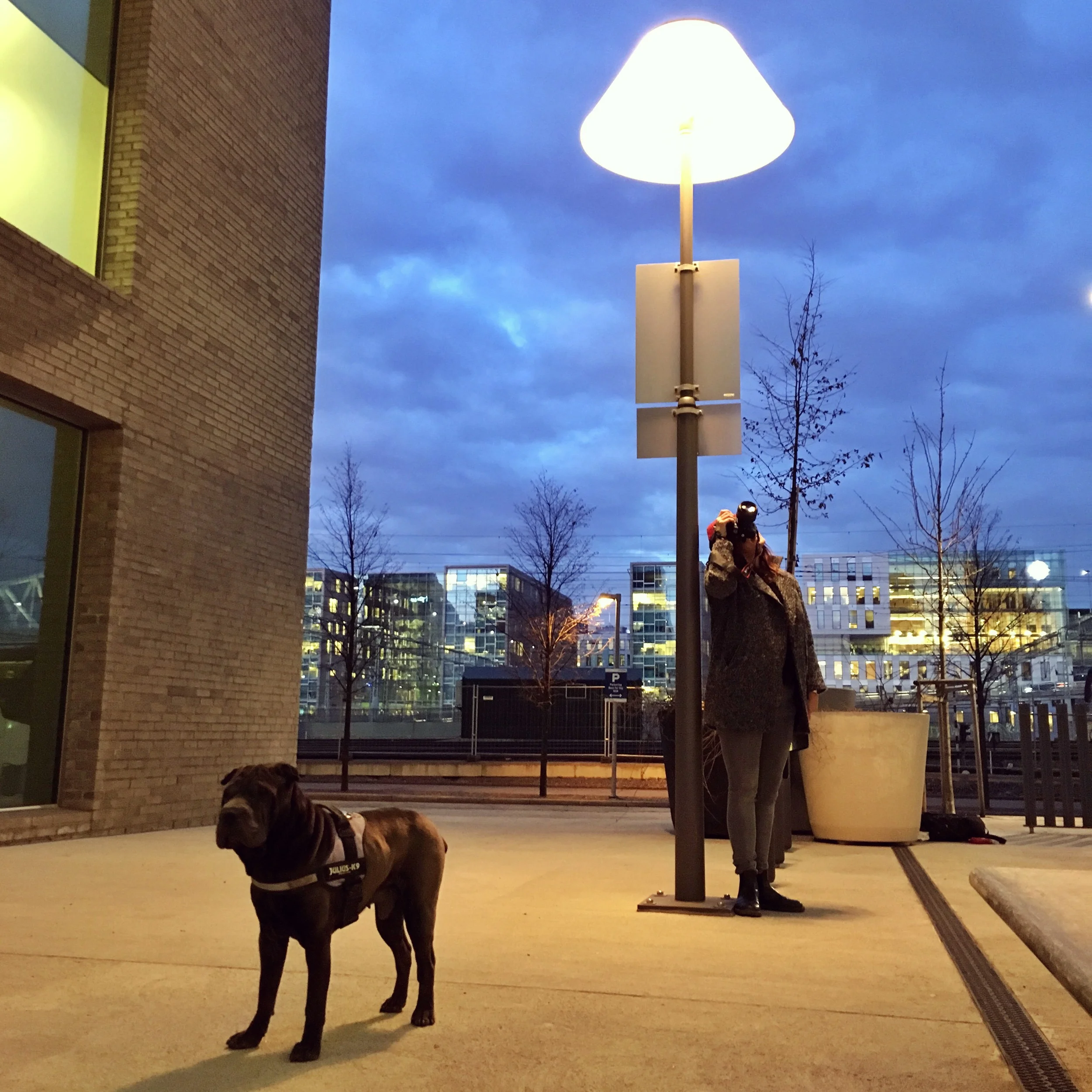 Photographer Monica Kvaale and her dog Oscar.