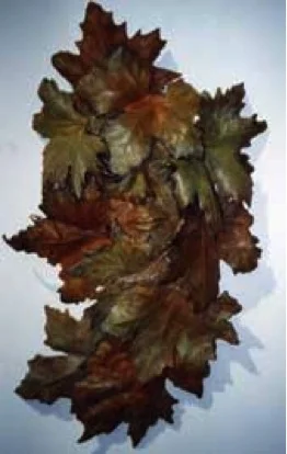 Mother Earth Sleeping