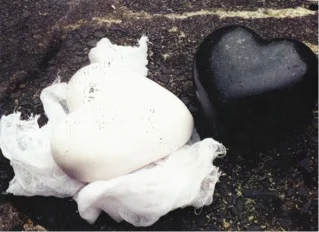  Porcelain and Bandage,&nbsp;&nbsp;Limestone. 