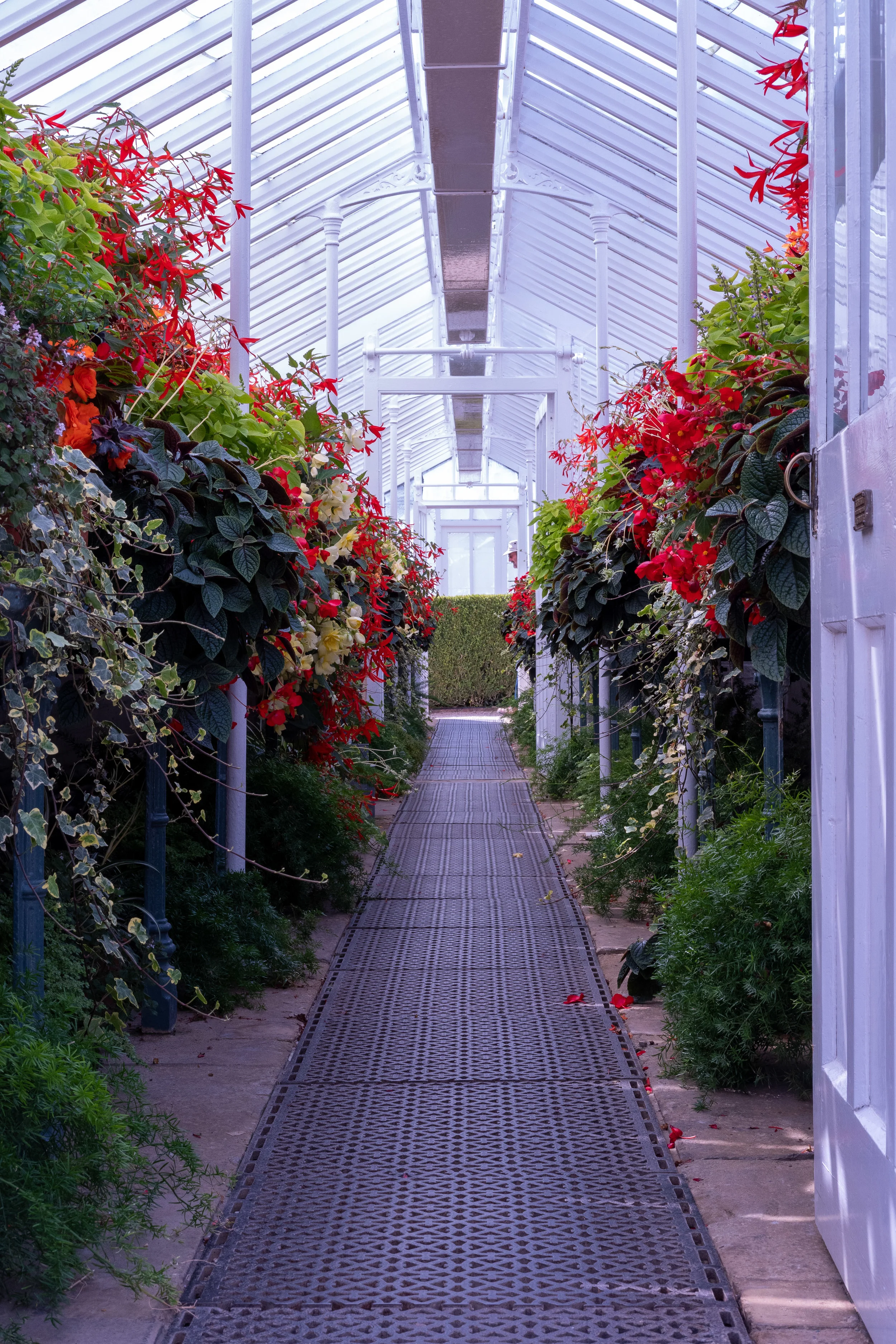 After several gardens and several glass houses, it has become clear to me that an eye-level view lacks impact. The lower the better in many cases…