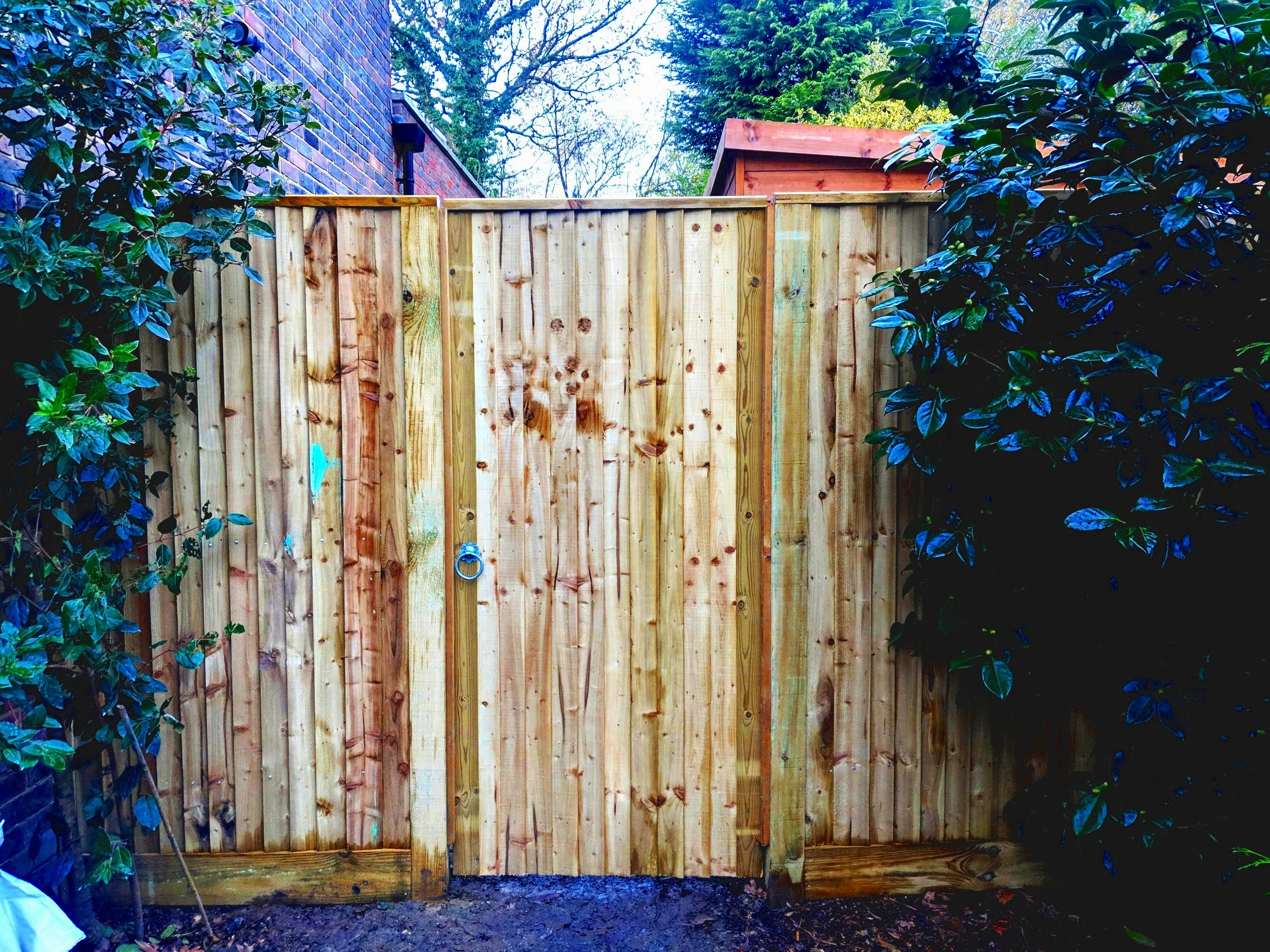 Closeboard side gate with capping