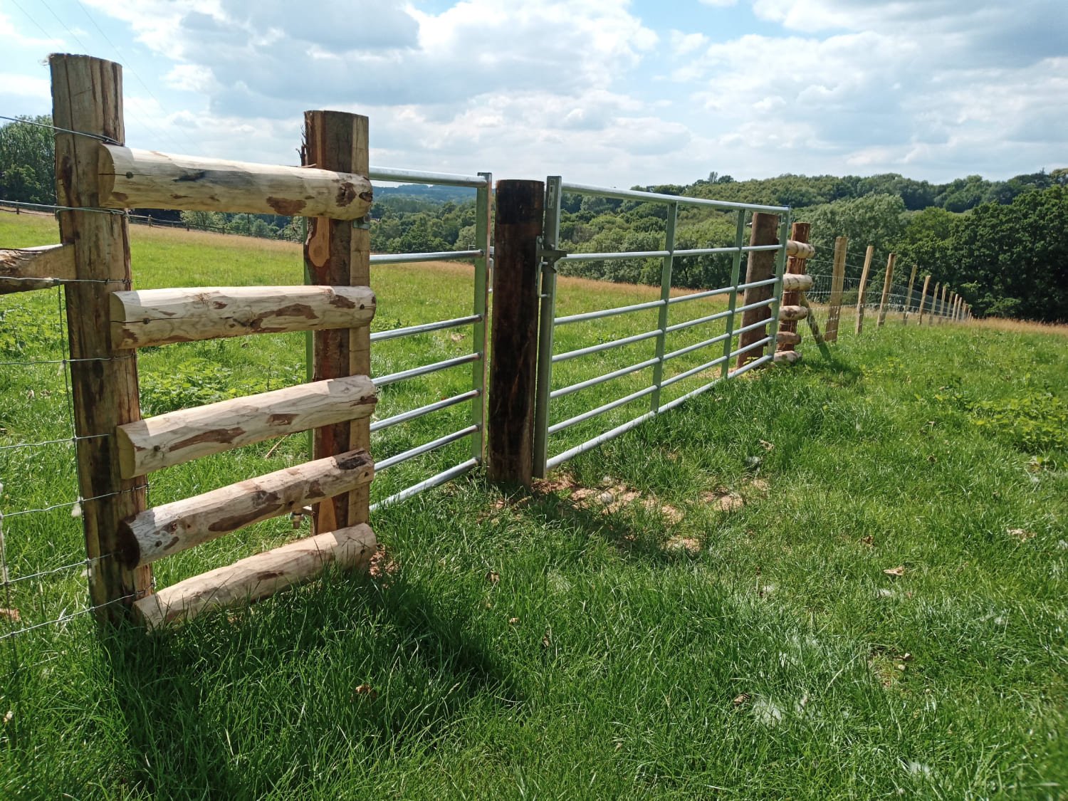 Stock fencing (1).jpg