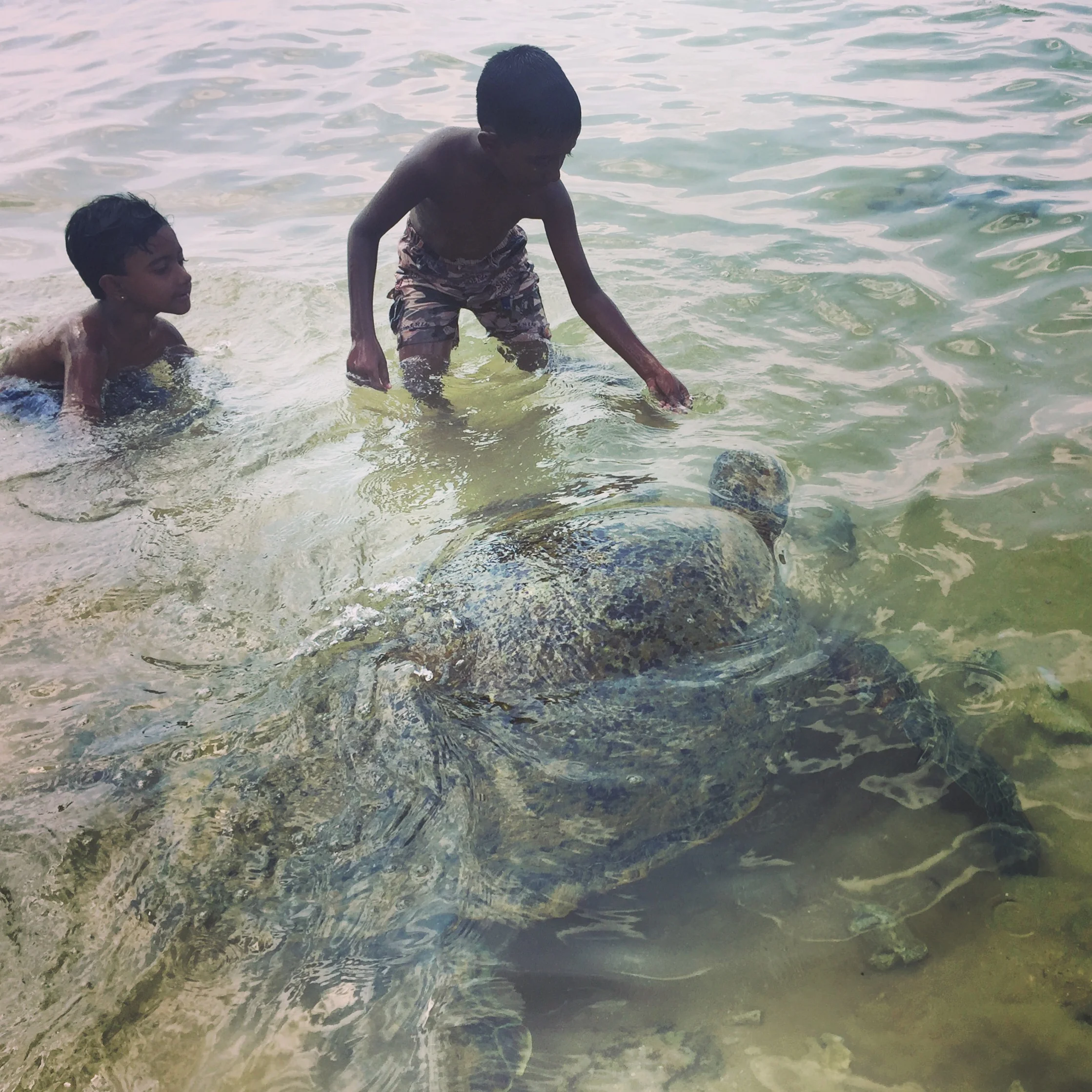  Hikkaduwa, Sri Lanka 