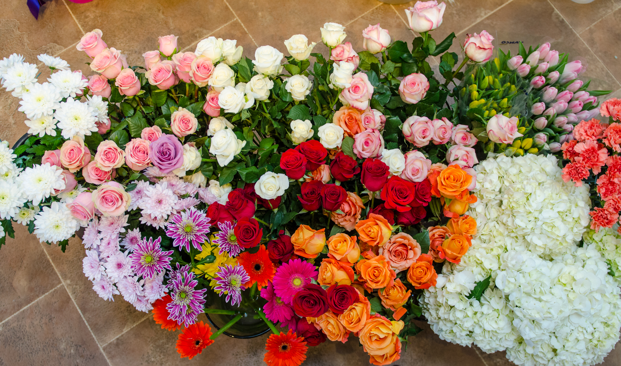 Prestige Scenes-1.jpg