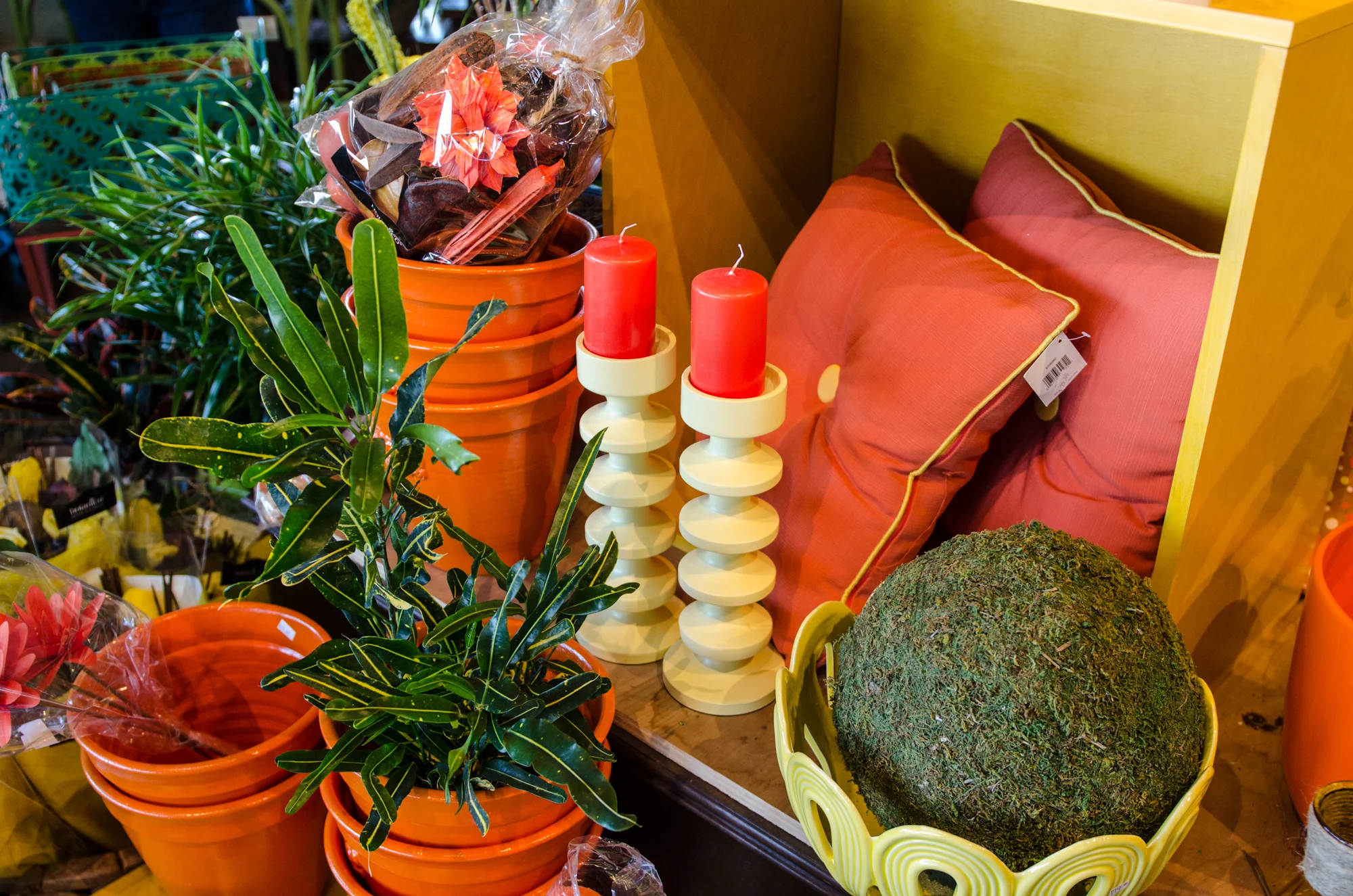 Prestige Scenes-6.jpg