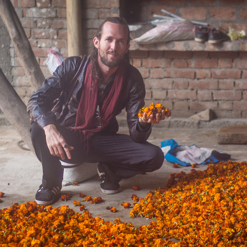 Marigold.jpeg