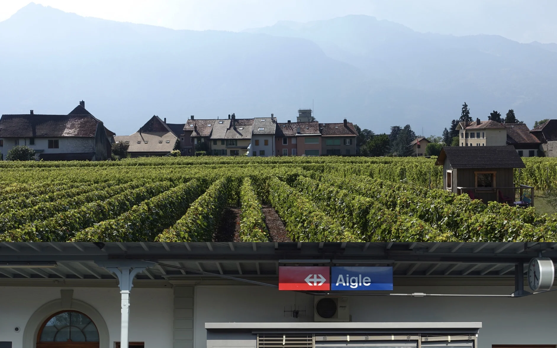 aigle.jpg