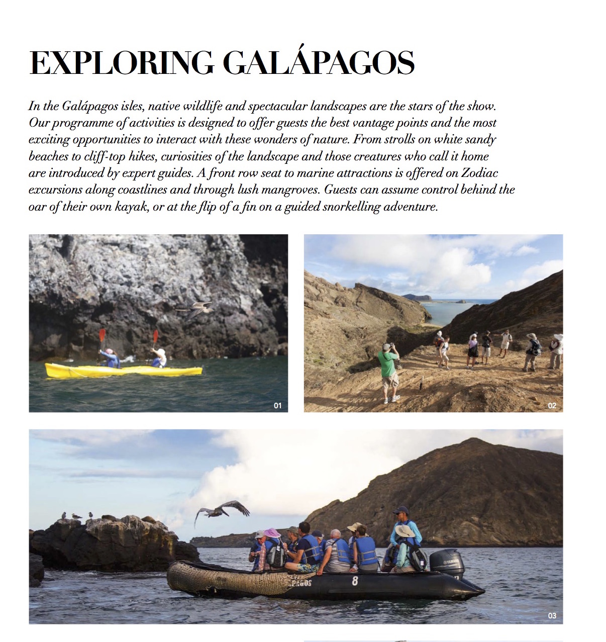 DIRECT MAIL Galapagos Page 5.jpg