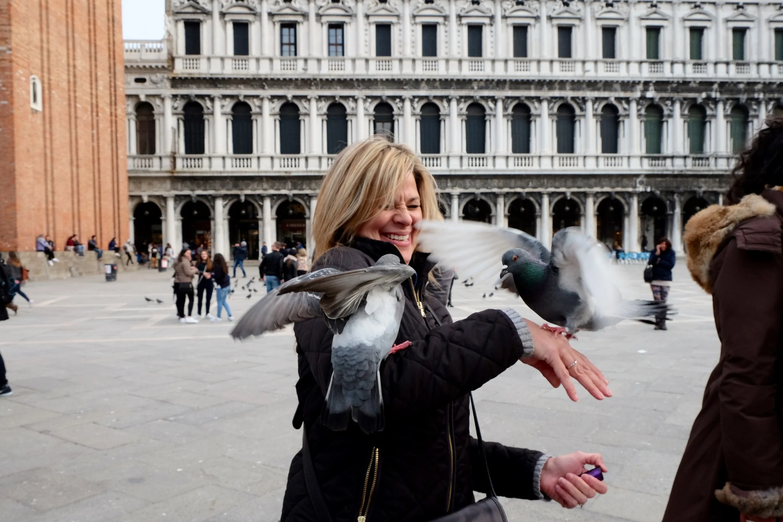 San Marco Square, Venezia, Italy