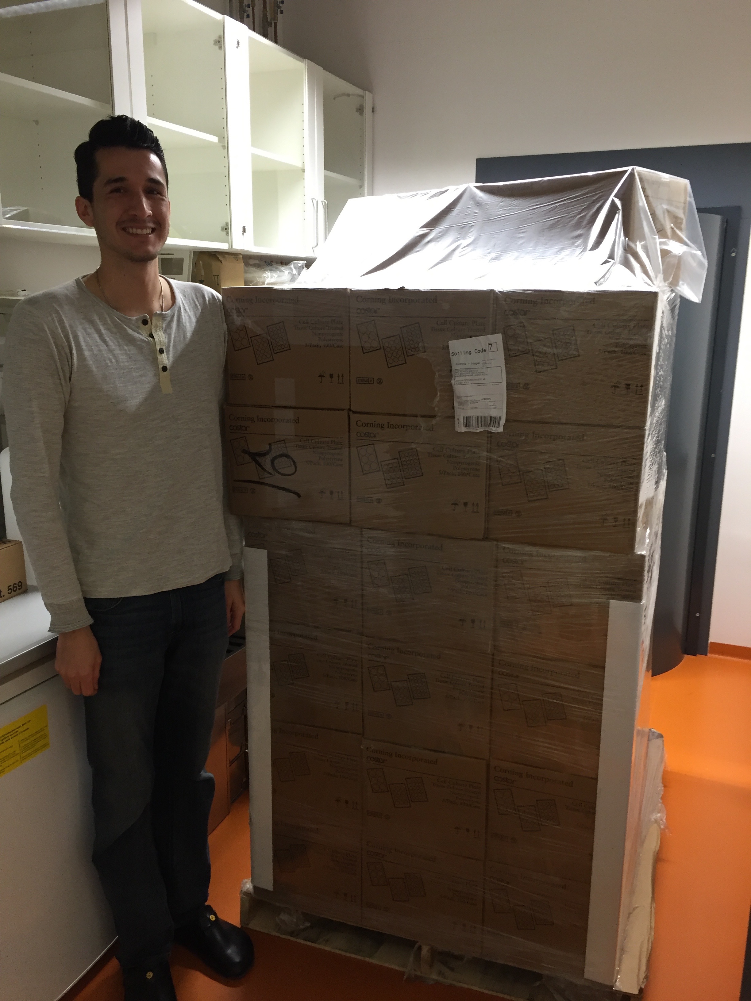 Before the whole genome RNAi screen.