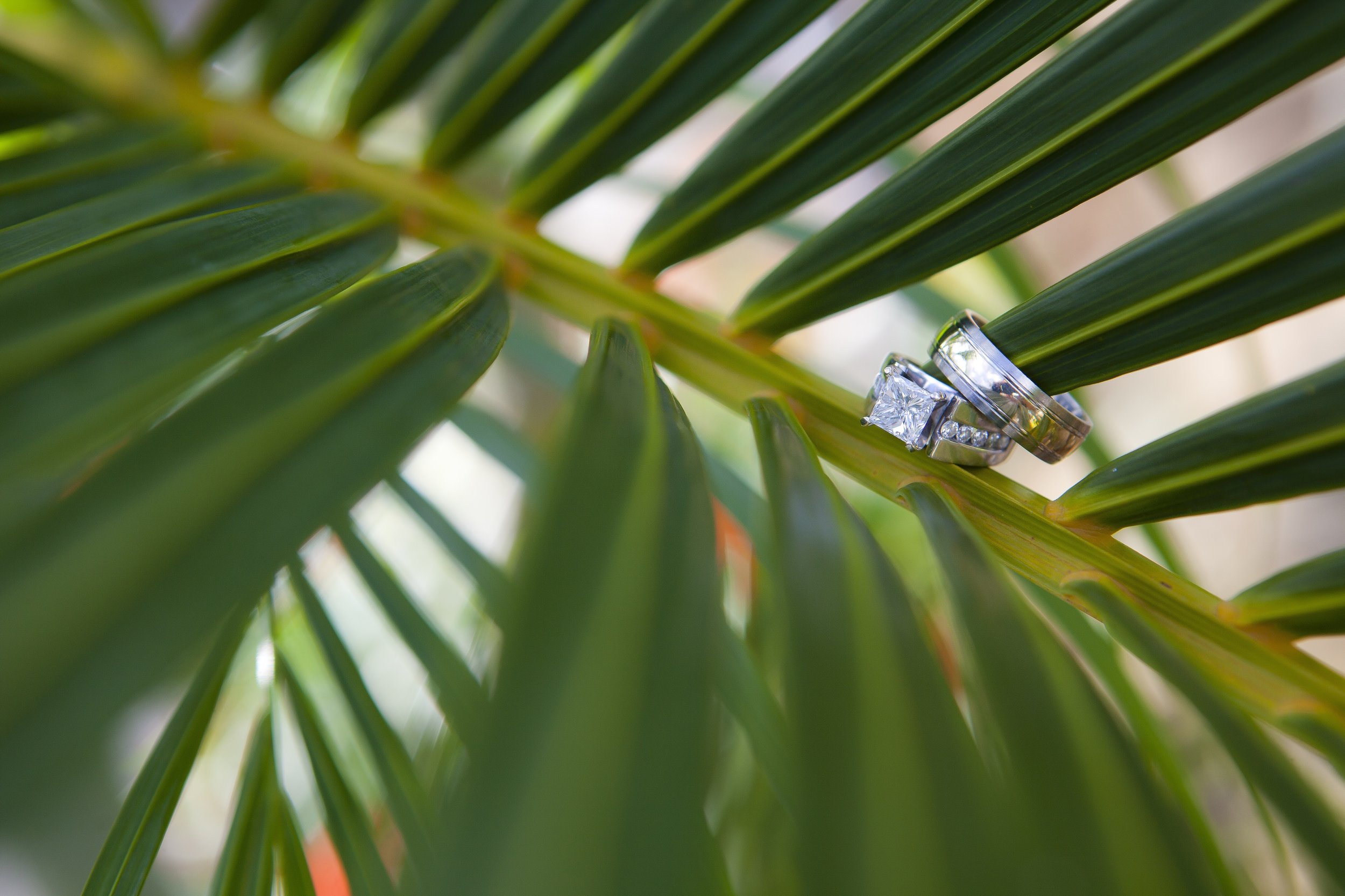 GGZ Green Bridal Set 1.jpeg