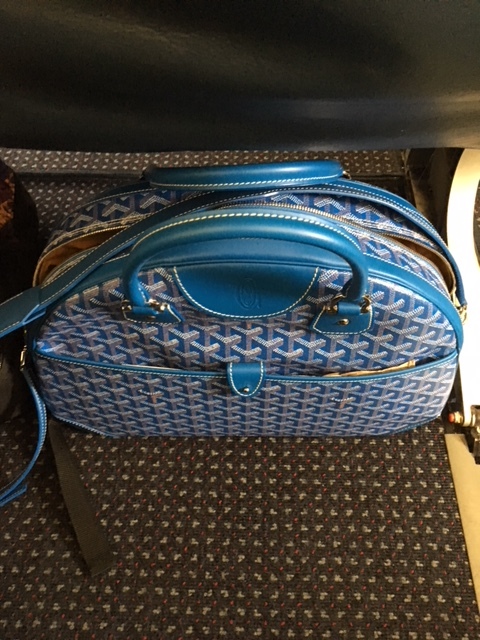 GGZ Goyard Jeanne GM under seat 2.JPG