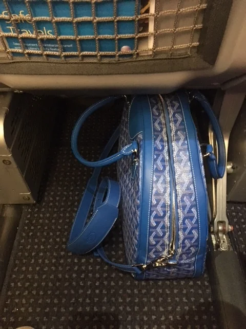 GGZ Goyard Jeanne GM under seat.JPG