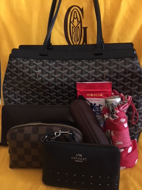 Goyard Black Bellechasse PM Review: Wear & Tear and Strap Replacement —  Girls' Guide to Glitz