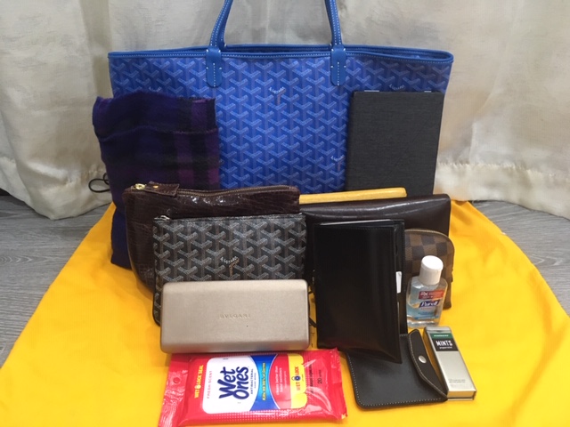 GGZ Goyard Artois MM Light Blue Travel.JPG