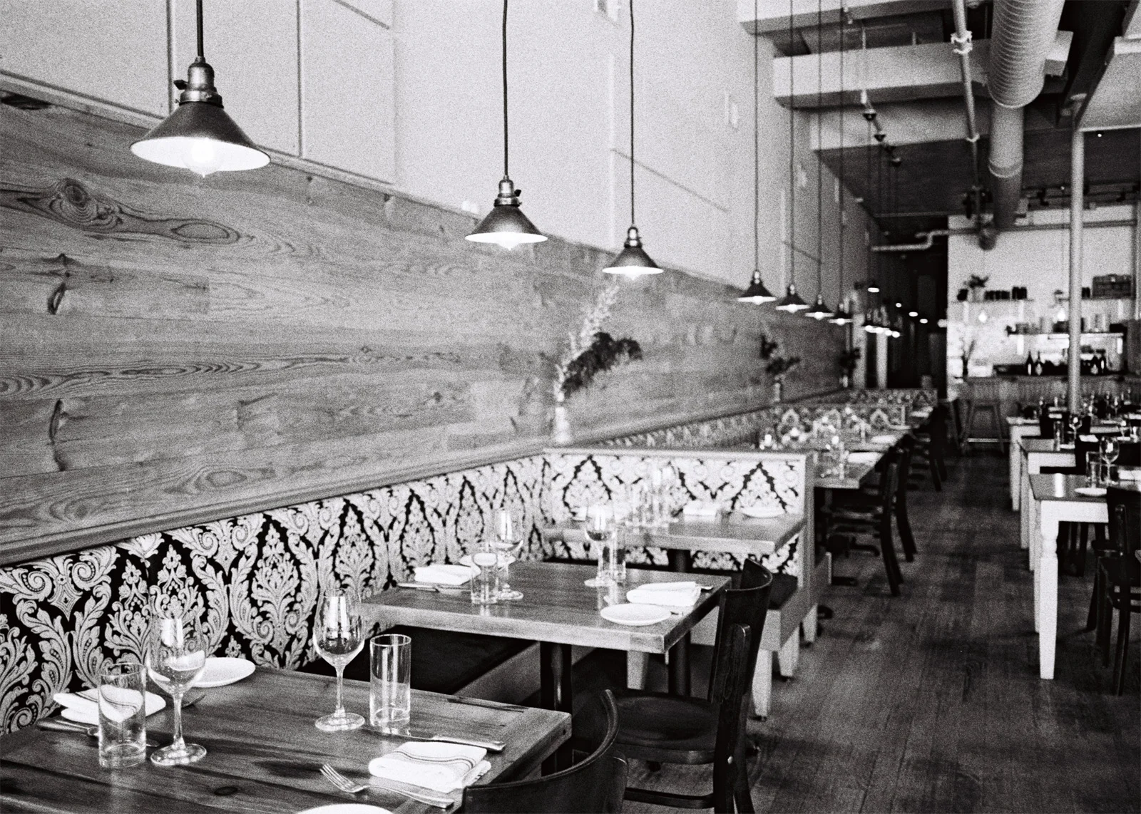 Damore000823-R1-031sml.jpg