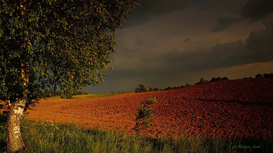 fot. Roman Lech