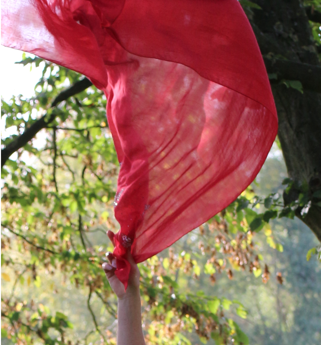 Comment gérer les risques de la visibilité?