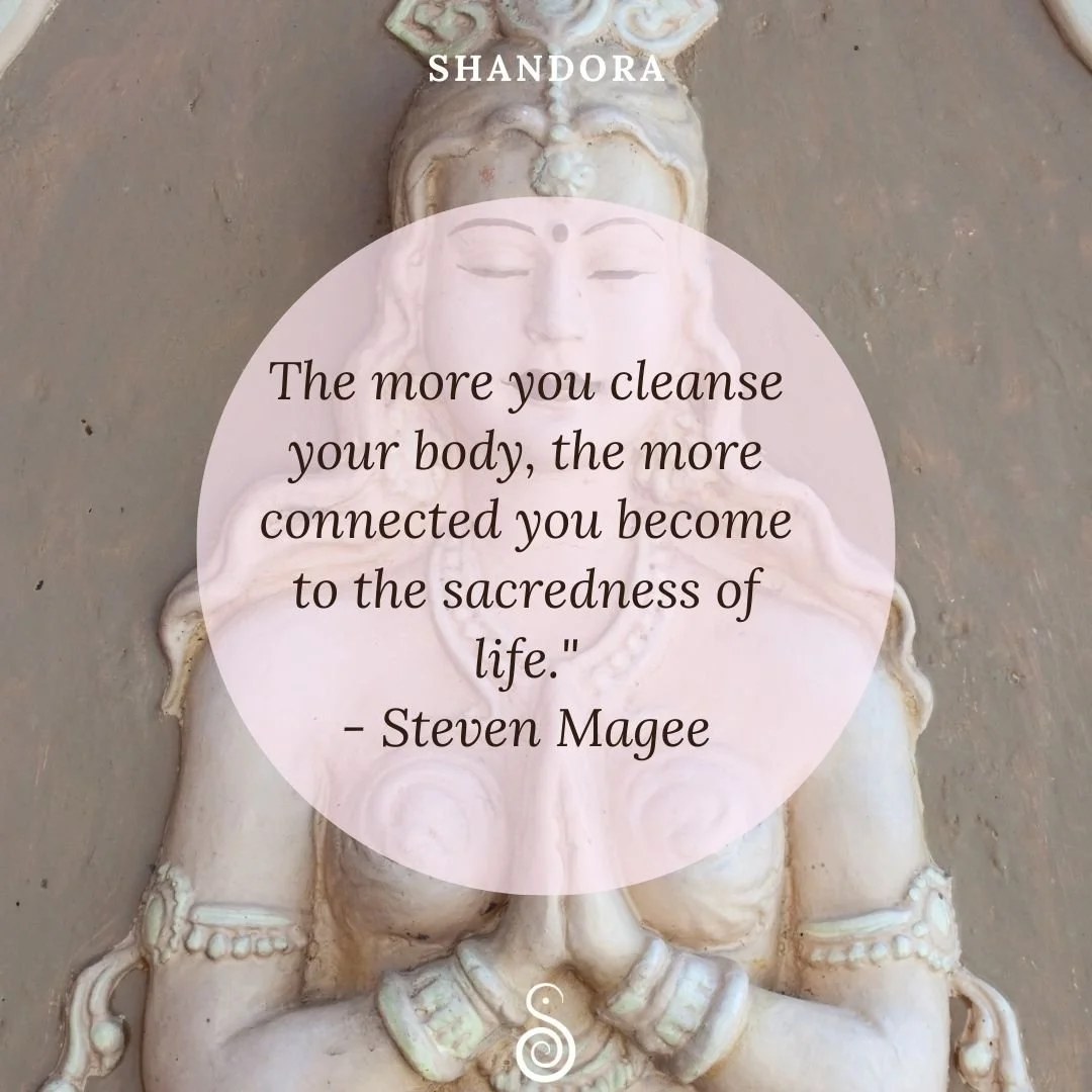 &ldquo;The more you cleanse your body, the more connected you become to the sacredness of life.&rdquo;
&mdash; Steven Magee 🌿✨

When we move, we cleanse.
When we sweat, we release.
And with every layer shed &mdash; we remember:
This body is a vessel