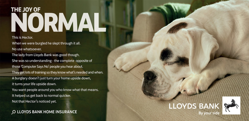 Lloyds Bank Dog photo advertisement