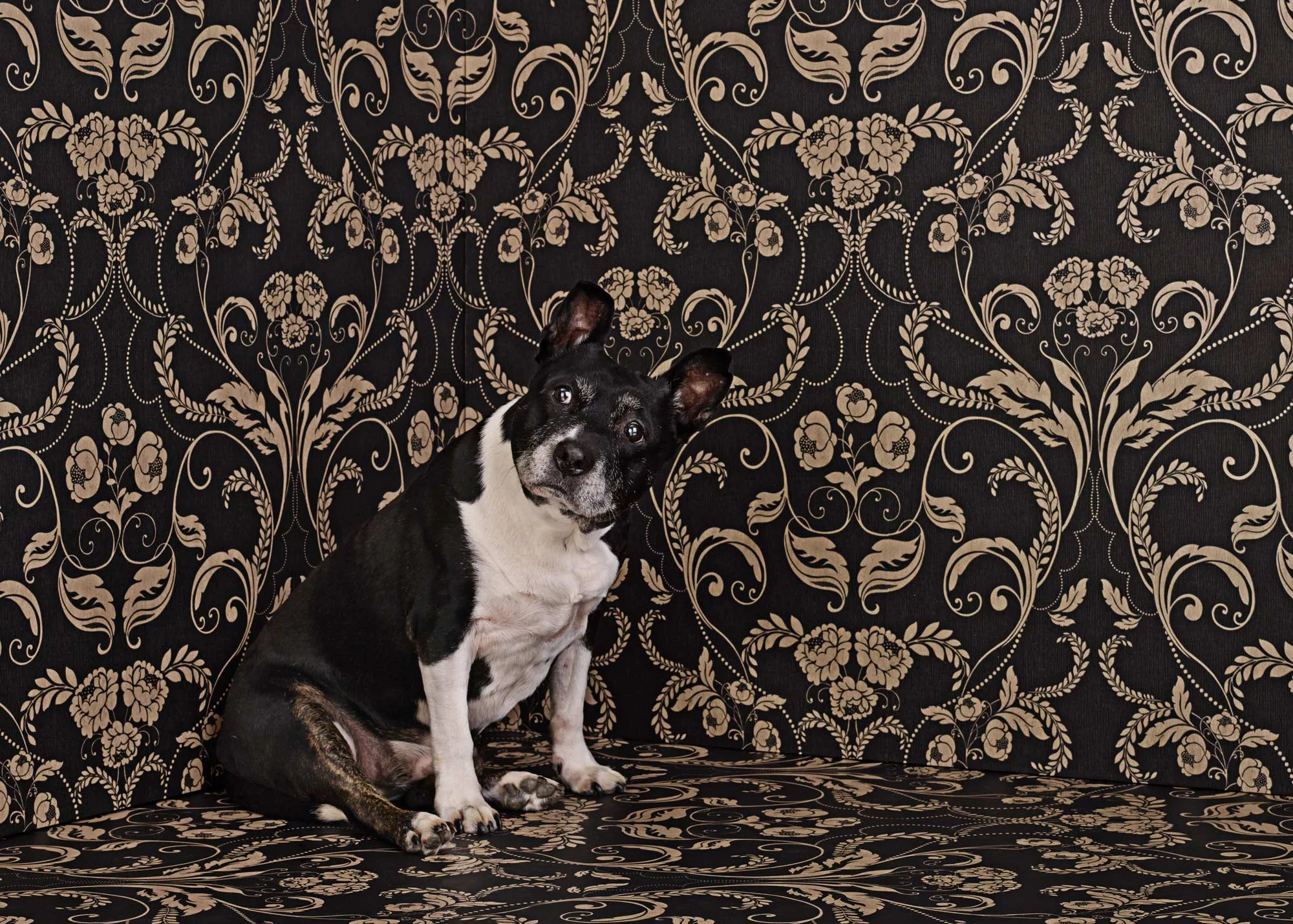 STAFFIE_CF002055_closer.jpg
