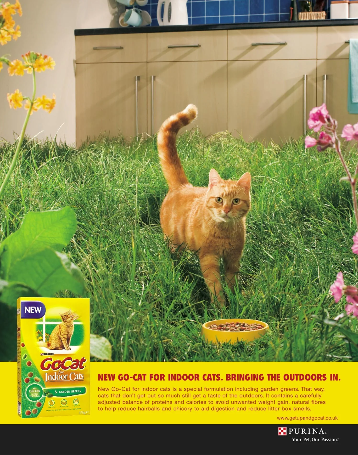 Gocat ad campaign by Steve Hoskins
