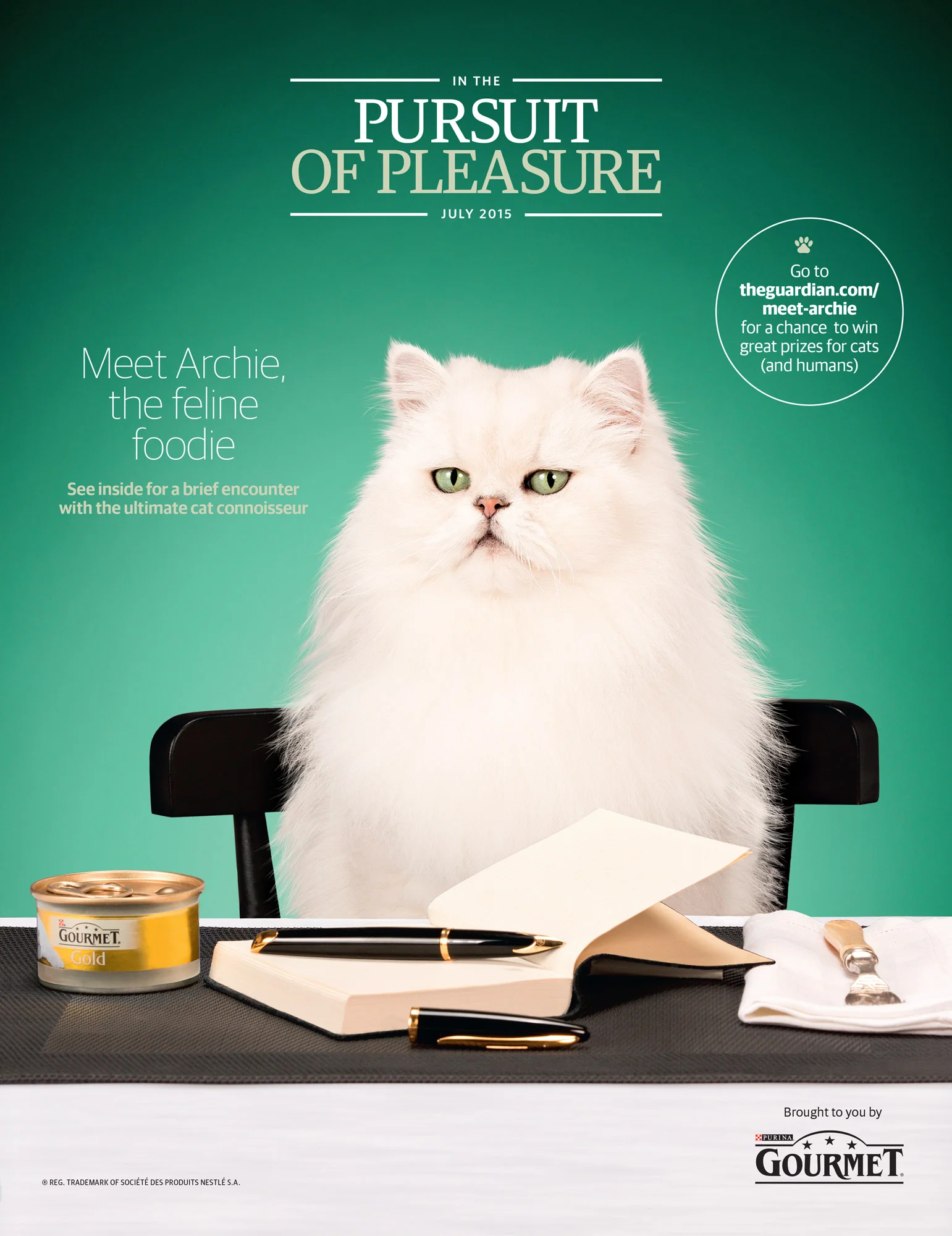 Pursuit of pleasure cat photography