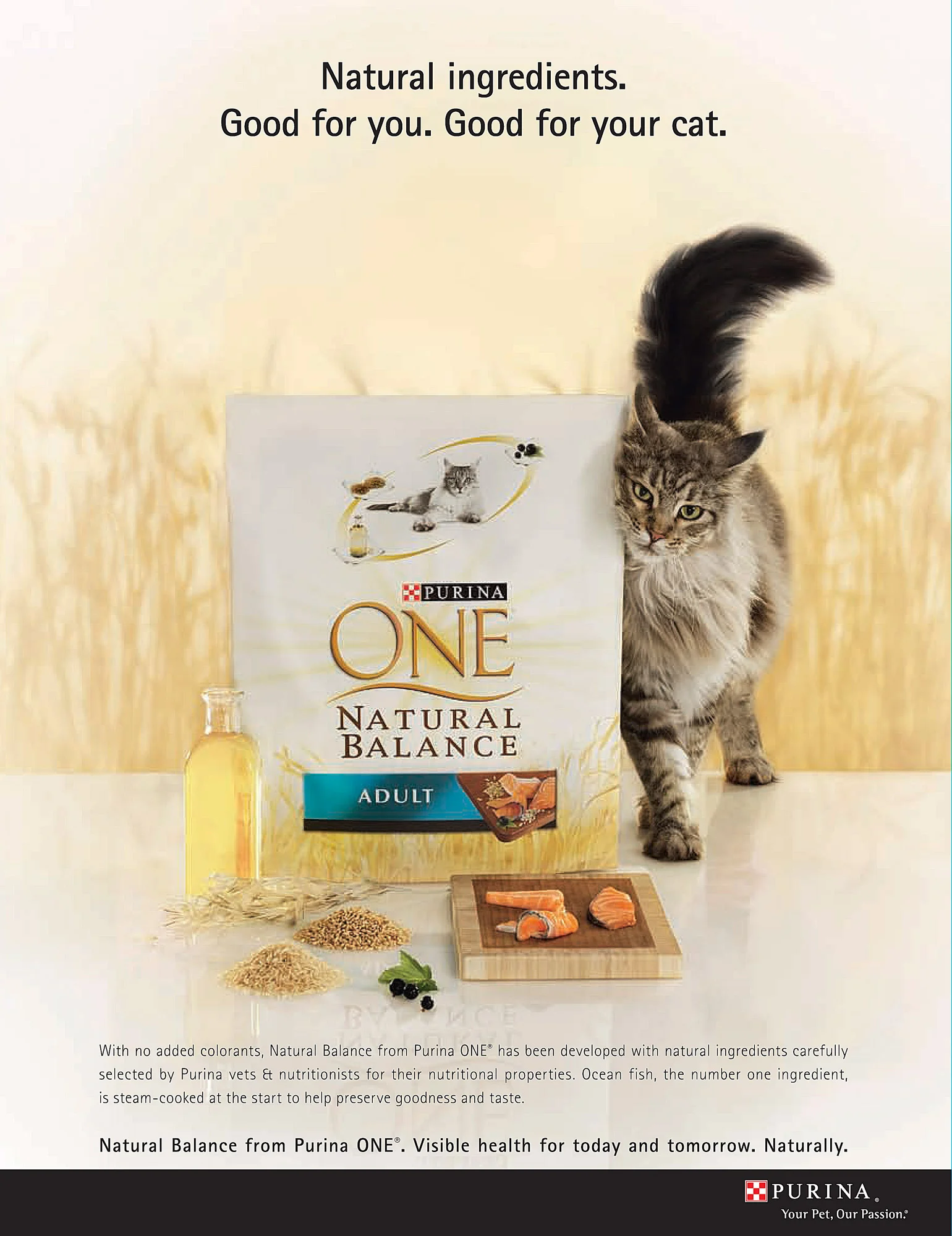Purina One cat photo ad campaign