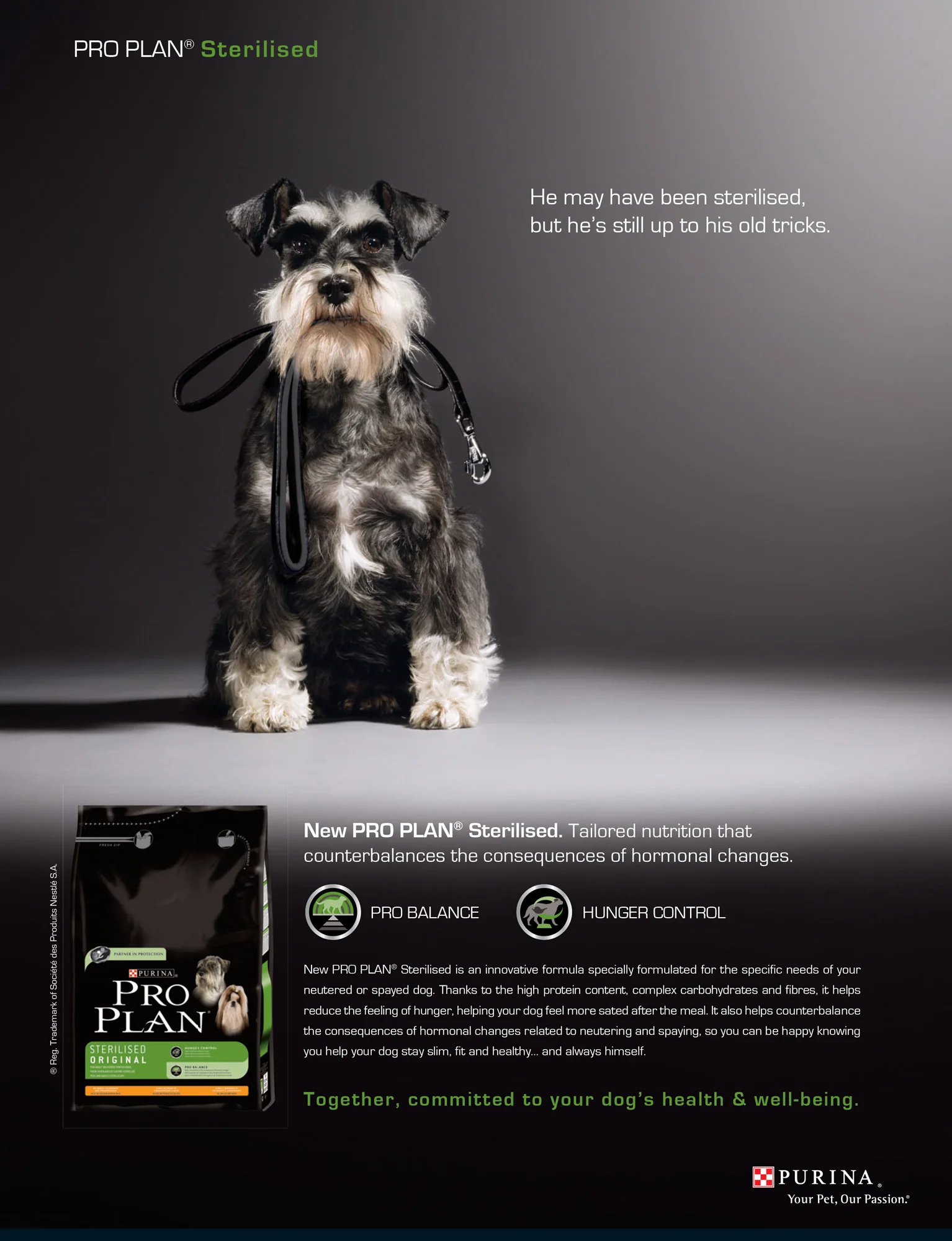 Steve Hoskins animal photography